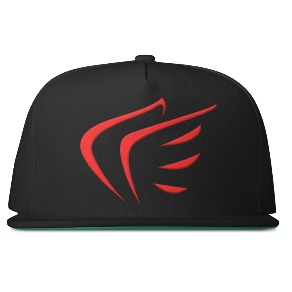 WINGS Snapback