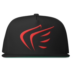 WINGS Snapback