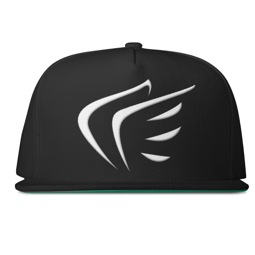 WINGS Snapback