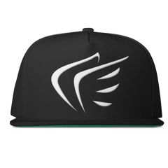 WINGS Snapback