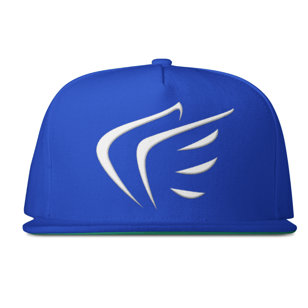 WINGS Snapback