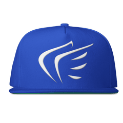 WINGS Snapback