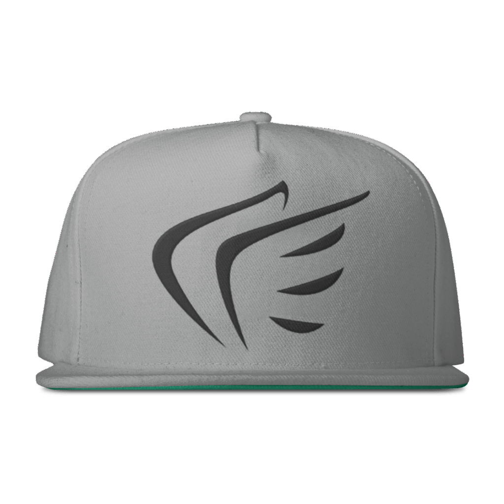 WINGS Snapback