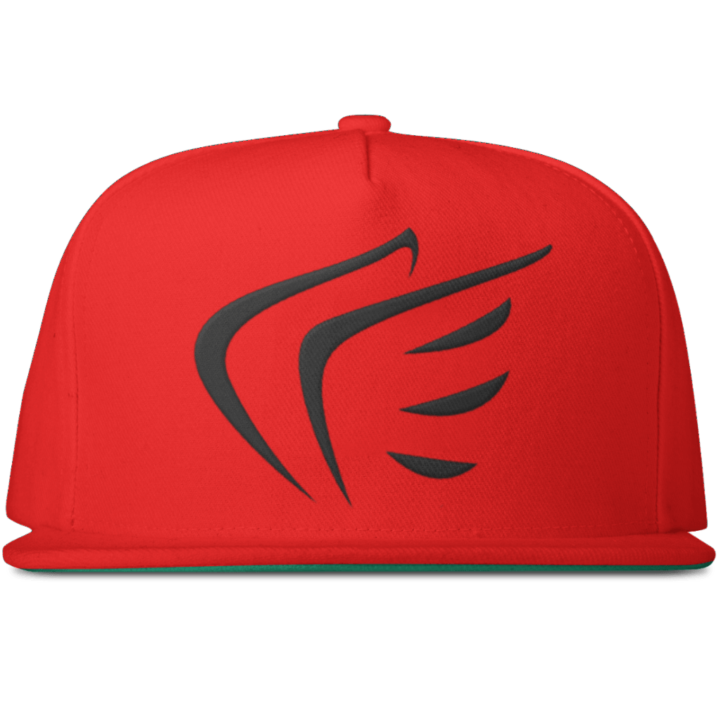 WINGS Snapback