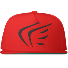 WINGS Snapback