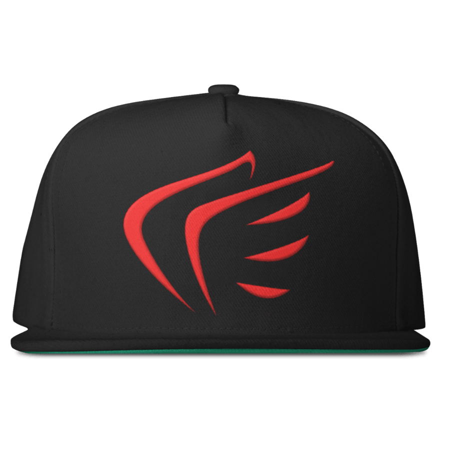 WINGS Snapback